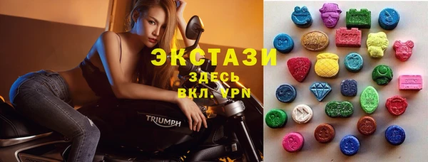 ECSTASY Лагань