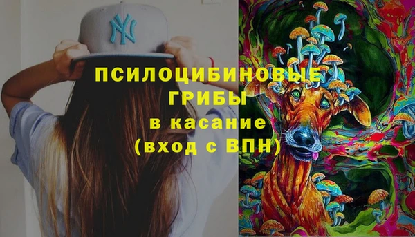 МДПВ Краснослободск