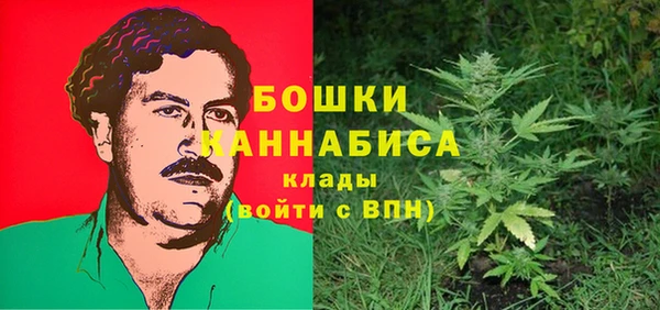 МДПВ Краснослободск