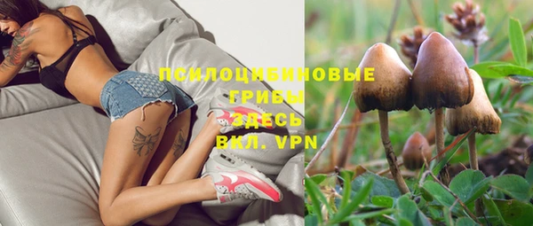крисы Кукмор