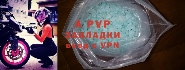 ECSTASY Лагань