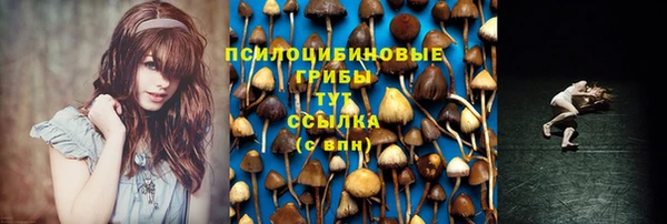 крисы Кукмор