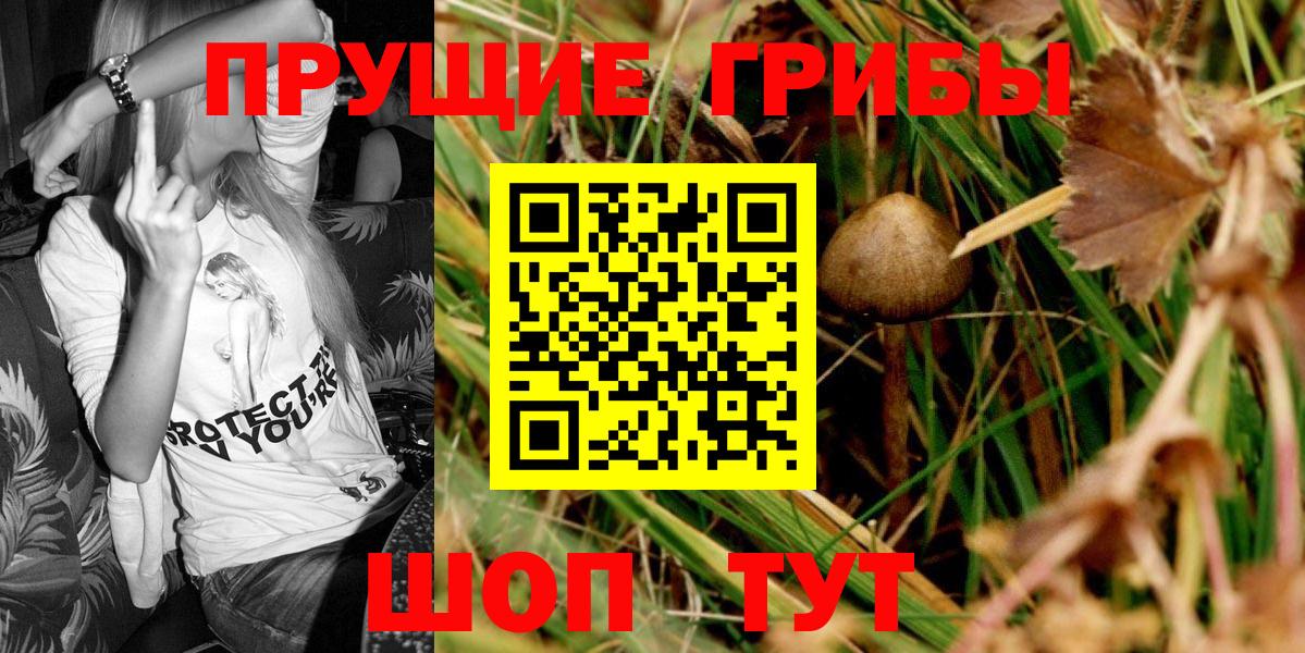 Красноперекопск  Псилоцибиновые грибы MAGIC MUSHROOMS  Вход с VPN  Псилоцибиновые грибы Psilocybe 