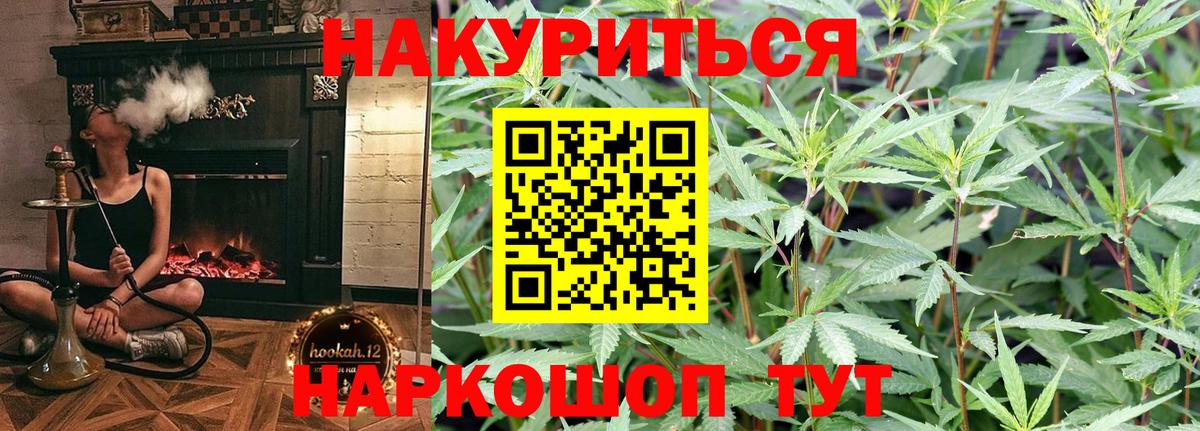Каннабис OG Kush Красноперекопск